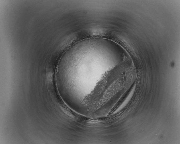 X0000097460269200802291243