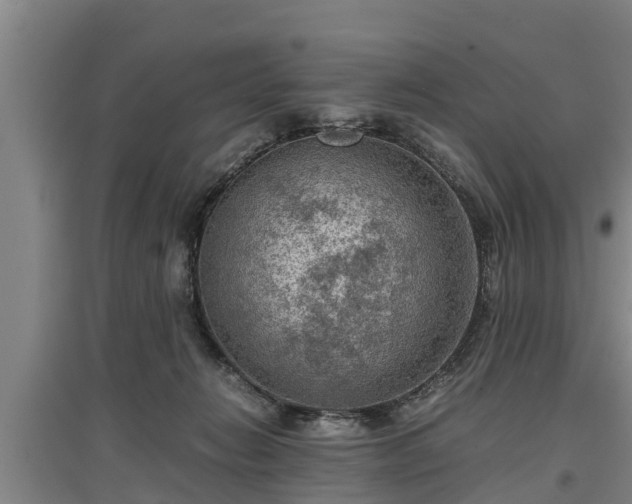 X0000097460270200802291243