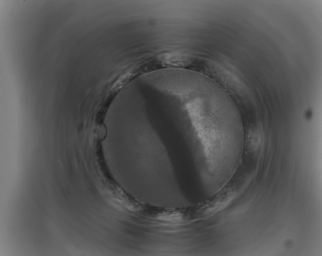 X0000097460271200802291243