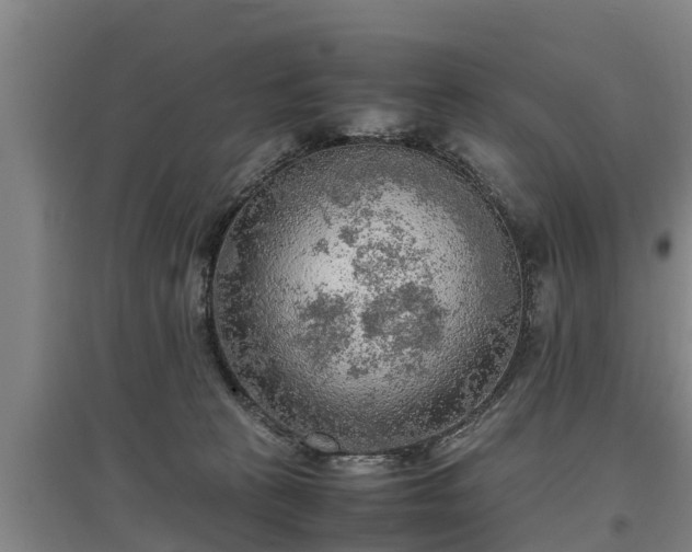 X0000097460273200802291243