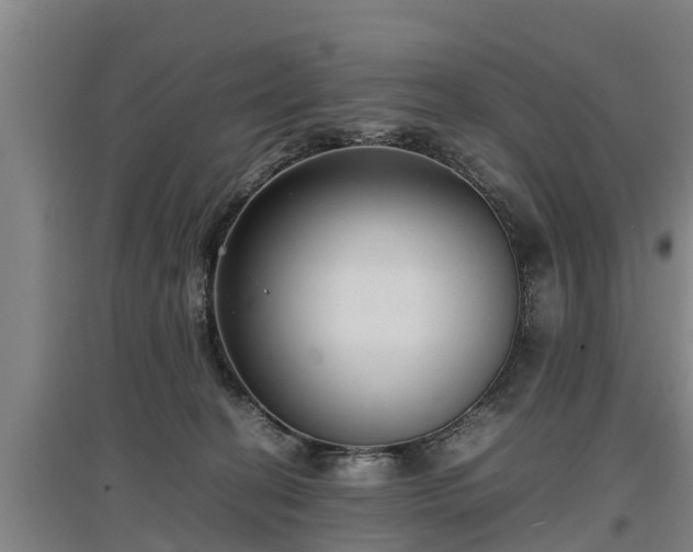 X0000097460274200802291243