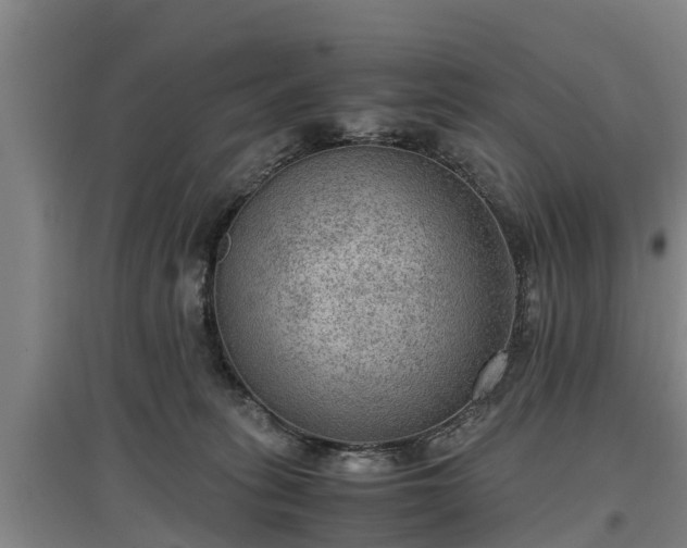 X0000097460275200802291243