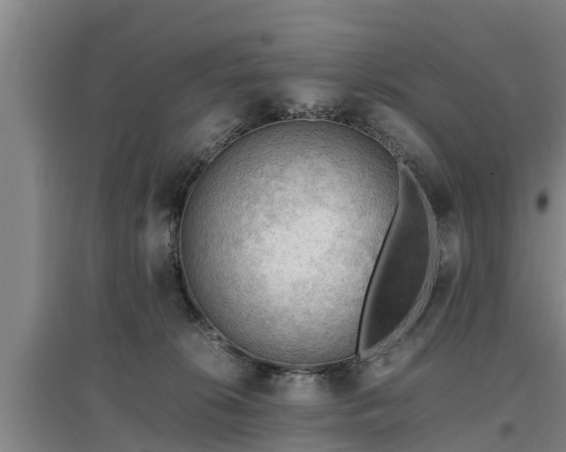 X0000097460276200802291243