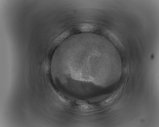 X0000097460277200802291243