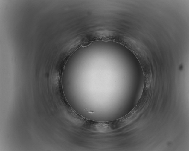 X0000097460279200802291243