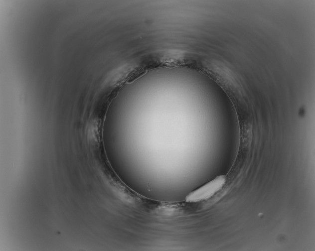 X0000097460280200802291243