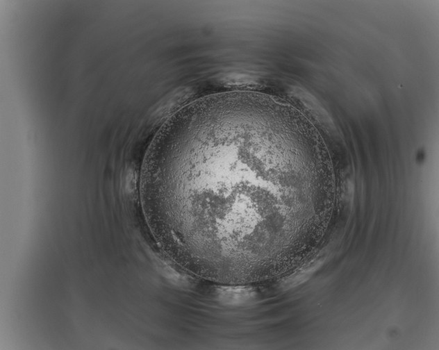 X0000097460281200802291243