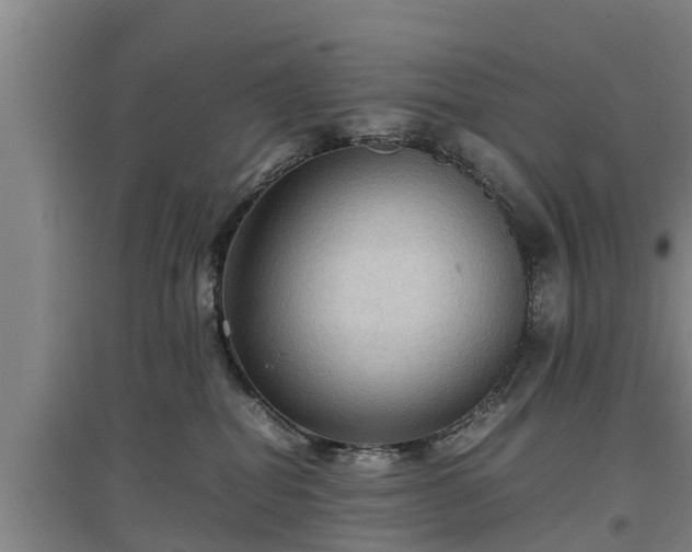 X0000097460282200802291243