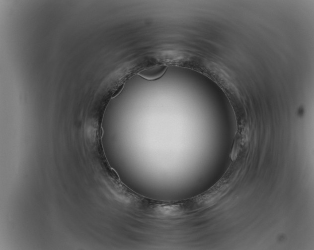 X0000097460283200802291243