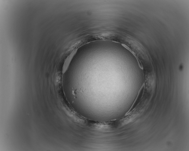 X0000097460284200802291243