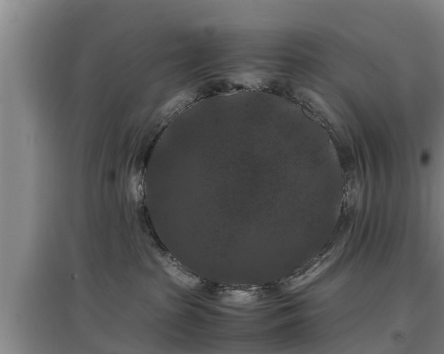 X0000097460285200802291243