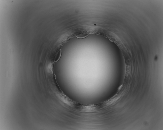 X0000097460286200802291243