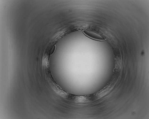 X0000097460287200802291243