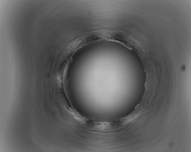 X0000097460288200802291243