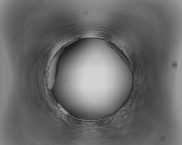 X0000097460289200802291243