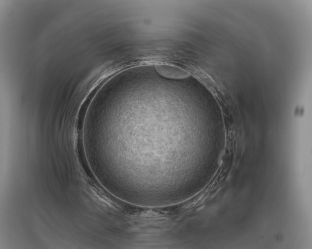 X0000097460290200802291243