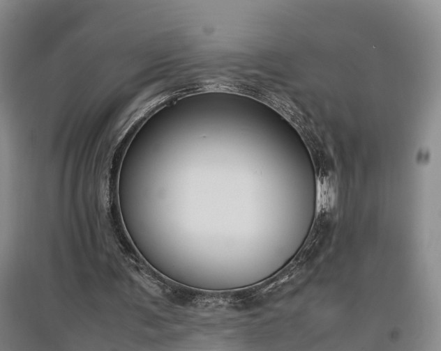 X0000097460291200802291243