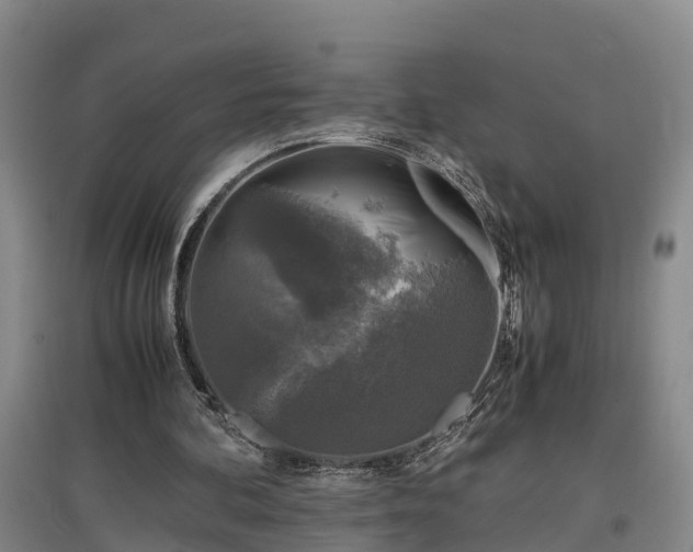 X0000097460292200802291243