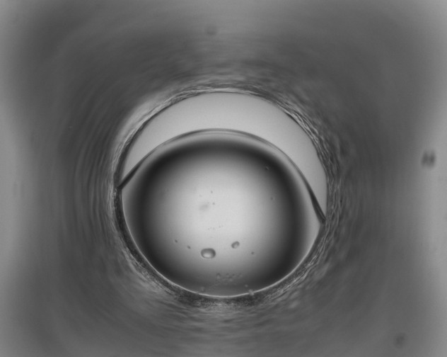 X0000097460293200802291242