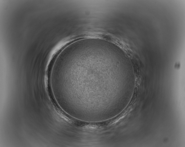 X0000097460294200802291242