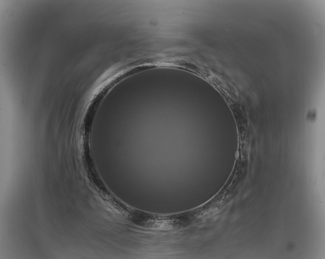 X0000097460295200802291242