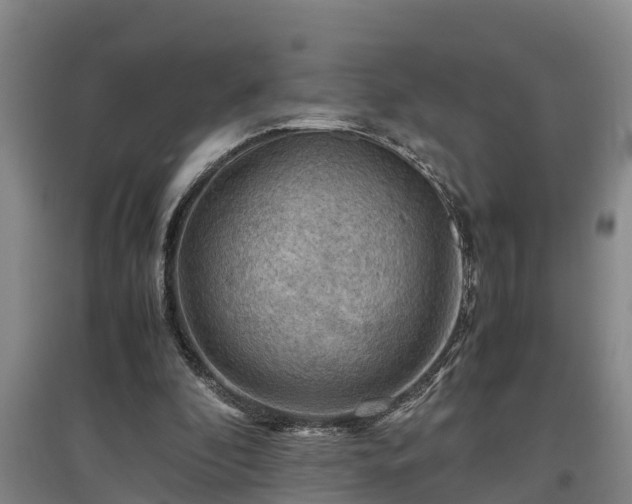 X0000097460296200802291242