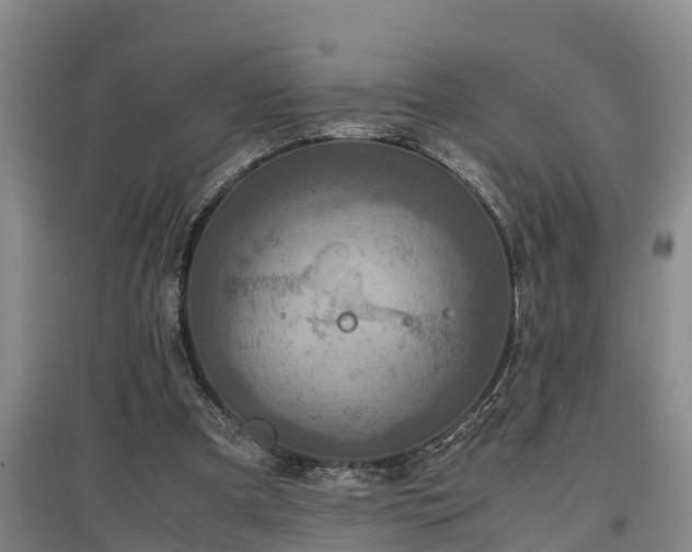 X0000097460297200802291242