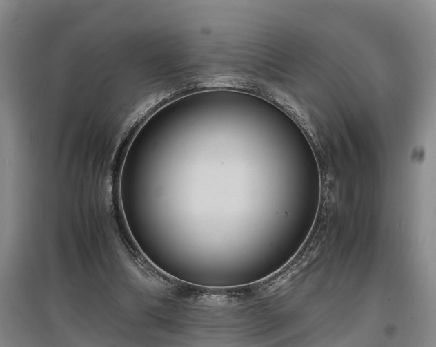 X0000097460298200802291242