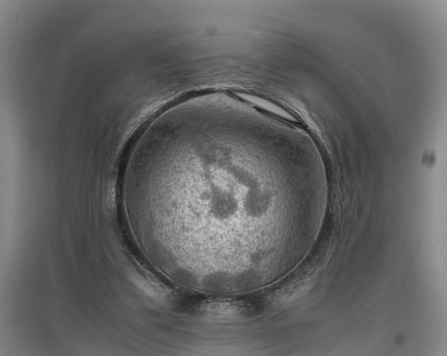 X0000097460299200802291242