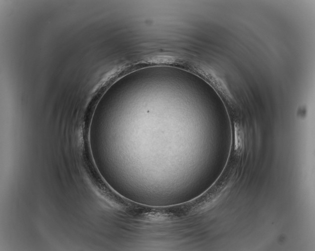 X0000097460300200802291242