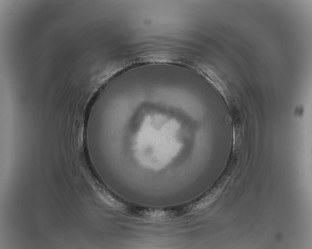 X0000097460301200802291242