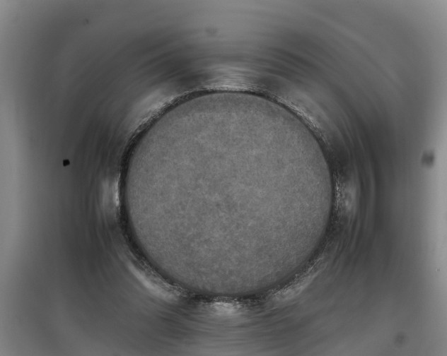 X0000097460302200802291242