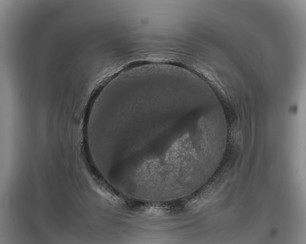 X0000097460303200802291242