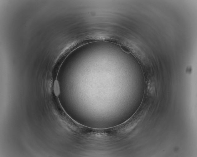 X0000097460304200802291242