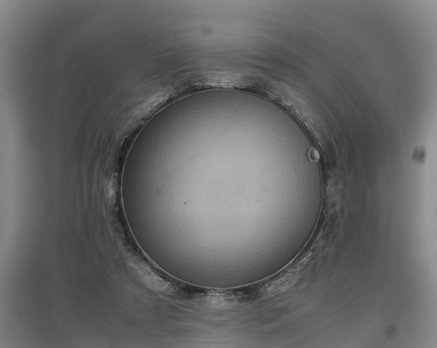 X0000097460305200802291242