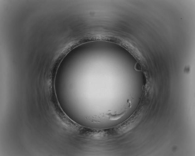 X0000097460306200802291242