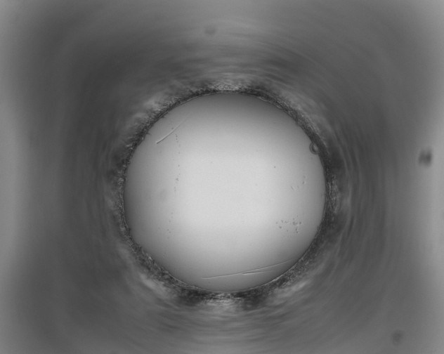 X0000097460307200802291242