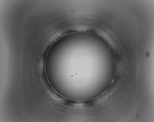 X0000097460309200802291242