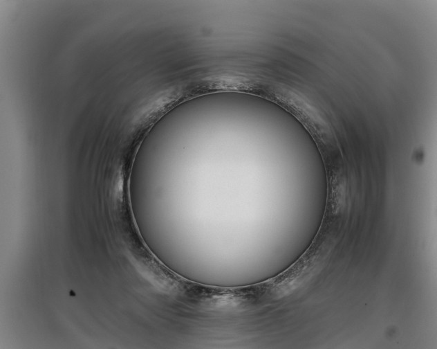 X0000097460310200802291242