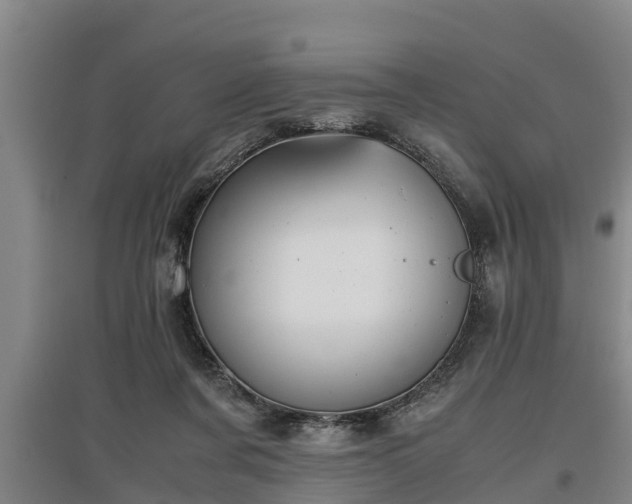 X0000097460311200802291242