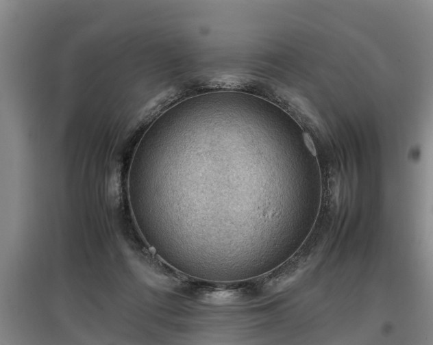 X0000097460312200802291242