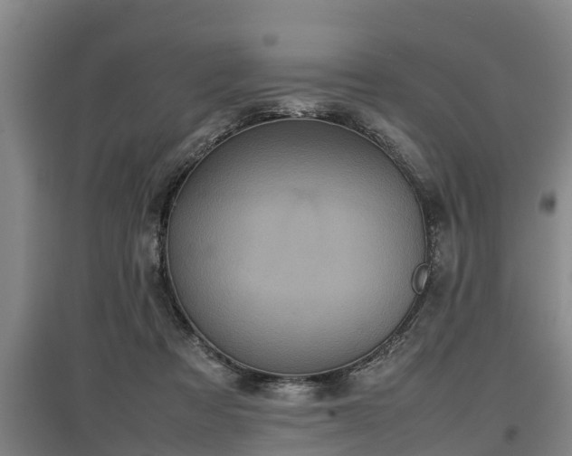 X0000097460313200802291242