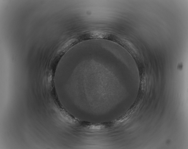 X0000097460314200802291242