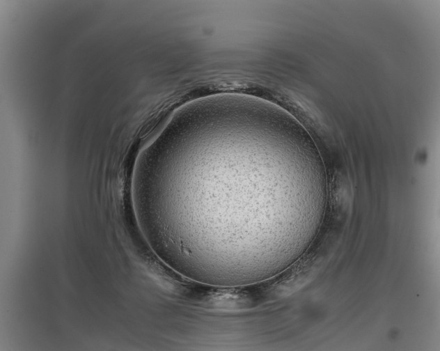 X0000097460315200802291242