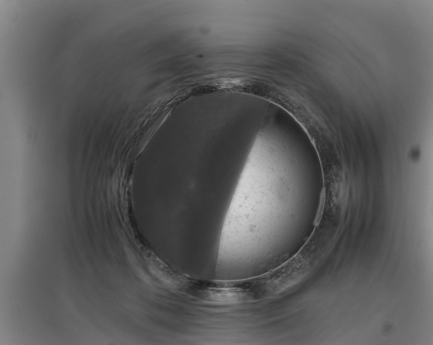 X0000097460316200802291242