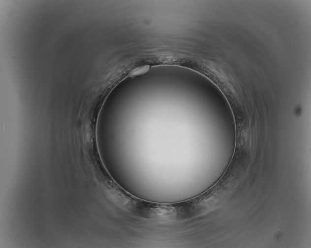 X0000097460317200802291242