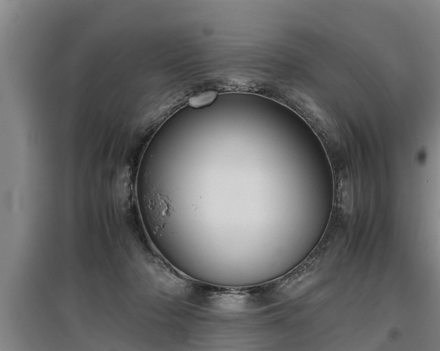 X0000097460318200802291242