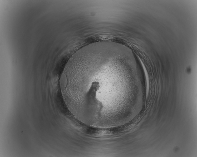 X0000097460319200802291242