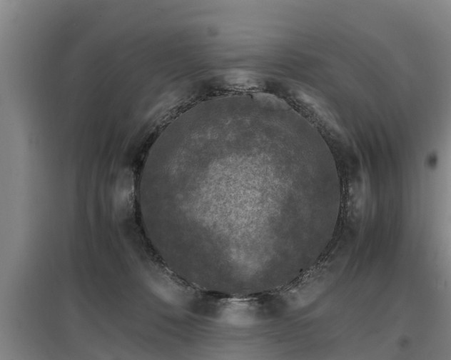 X0000097460320200802291242