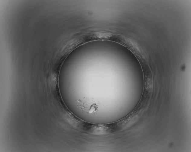 X0000097460321200802291242